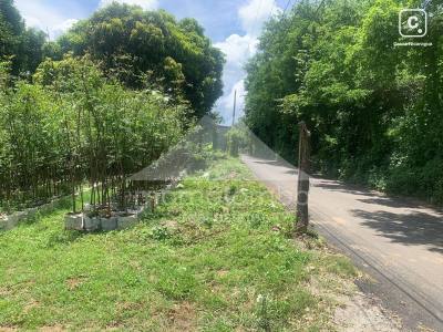 Terreno en venta en San Isidro de la Cruz Verde, Managua – 20,000 varas²