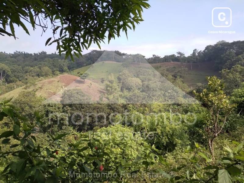 Finca en venta en Niquinohomo, Masaya – 82,999 varas²