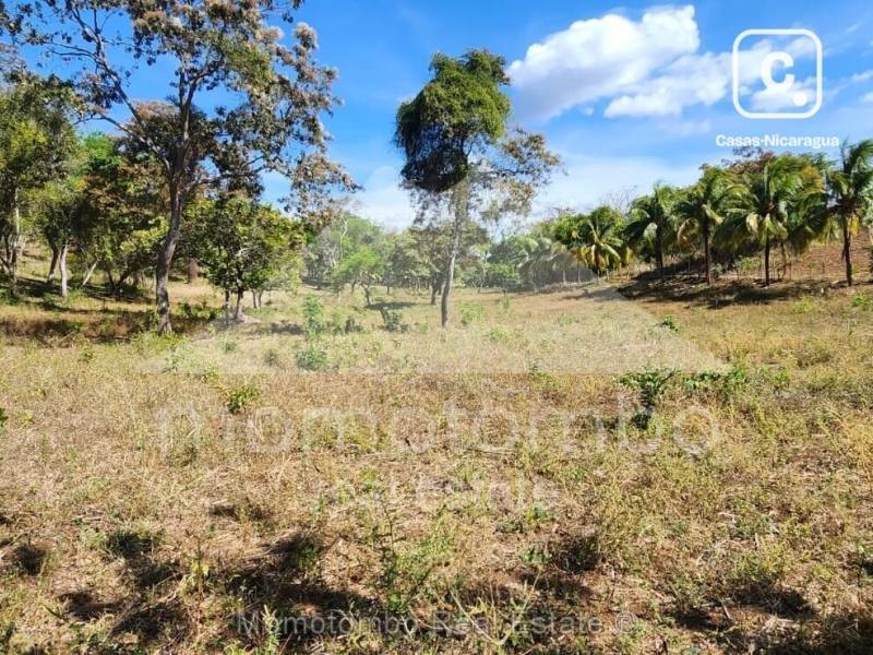 Terreno en venta en Niquinohomo, Masaya – 31,417 varas²