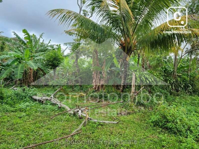 Terreno en venta en Niquinohomo, Masaya – 2,400 varas²