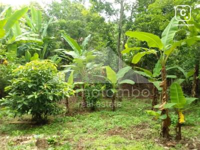 Casa en venta en Niquinohomo, Masaya – 2 hab, 122 m²