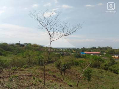 Terreno en venta en San Isidro de Bolas, Managua – 20,000 varas²
