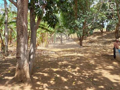 Terreno en venta en San Isidro de la Cruz Verde, Managua – 211 m²