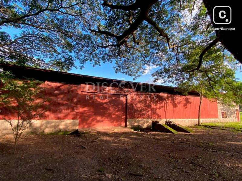 Bodega en alquiler en Matagalpa – 330 m²