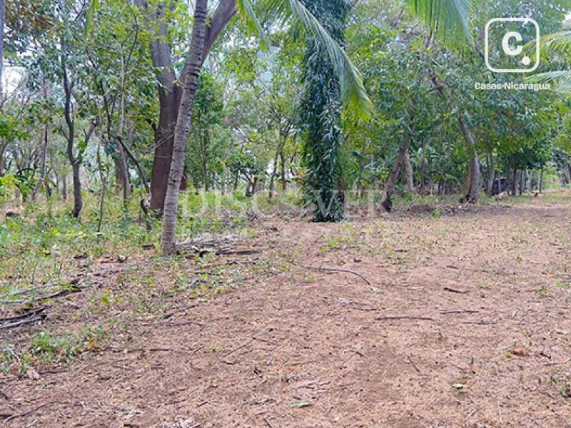 Terreno en venta en Granada – 30,000 varas²
