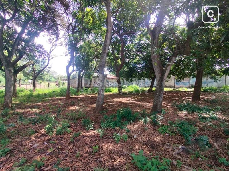 Terreno en venta en Masaya – 1,590 varas²