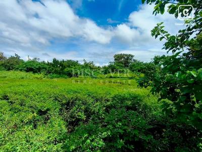 Terreno en venta en Granada – 2,000 varas²