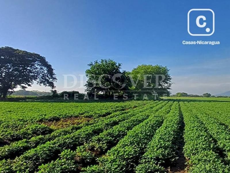 Finca en venta en Masaya – 2,466,400 varas²