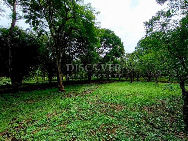 Terreno en venta en Masaya – 35,000 varas²