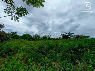 Terreno en venta en Masaya – 50,000 varas²