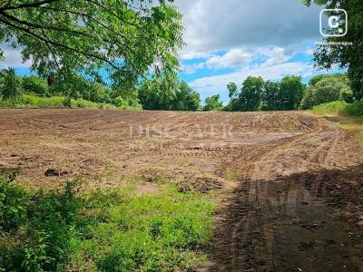 Finca en venta en León – 700,000 varas²