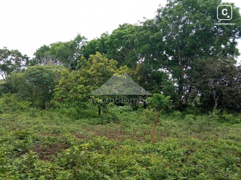 Terreno en venta en Carazo – 5,466 varas²