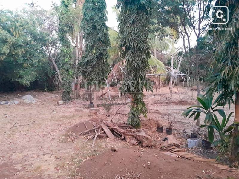 Terreno en venta en Carretera Vieja a León, Managua – 1,500 varas²