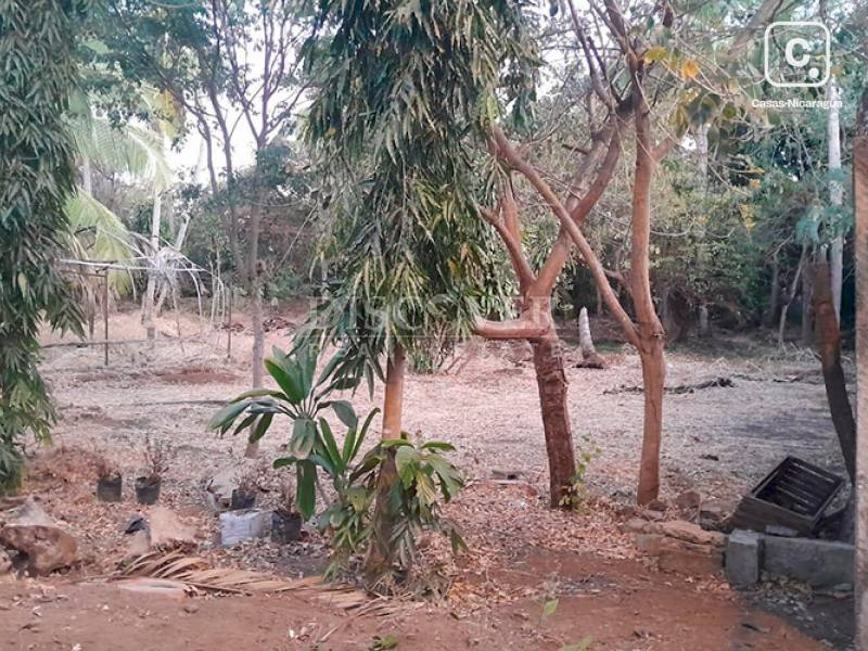 Terreno en venta en Carretera Vieja a León, Managua – 1,500 varas²