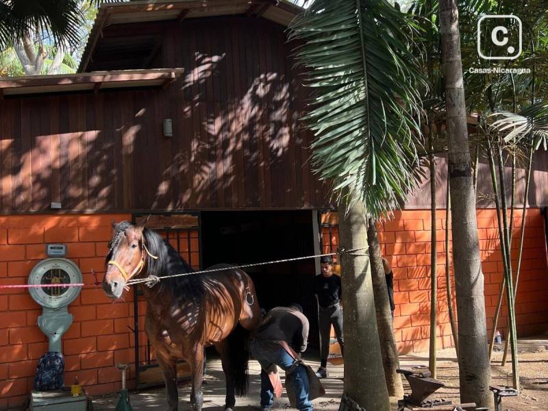 Finca en venta en Colonia Managua, Managua – 4 hab, 597 m²
