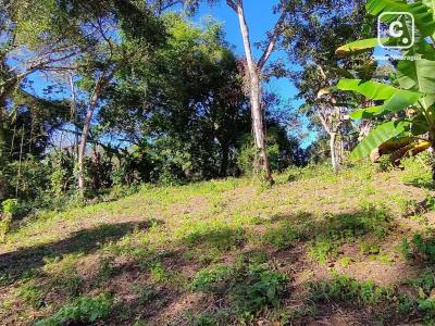 Lot for sale in Masaya – 40,804 m²