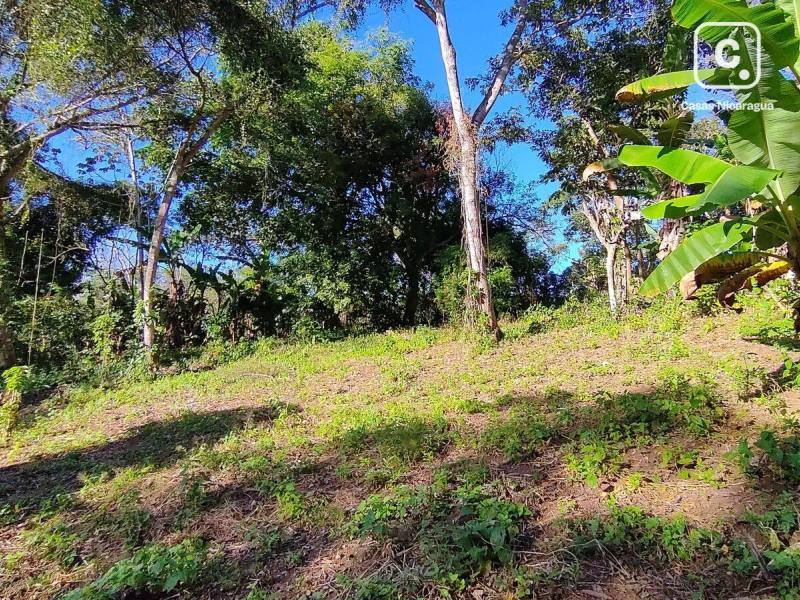 Terreno en venta en Niquinohomo, Masaya – 58,400 varas²