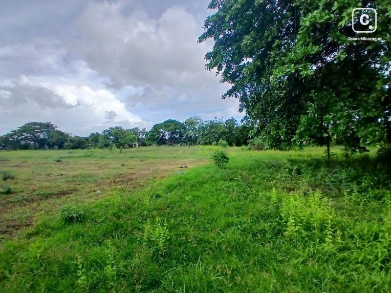 Terreno en venta en Granada – 16,855 varas²