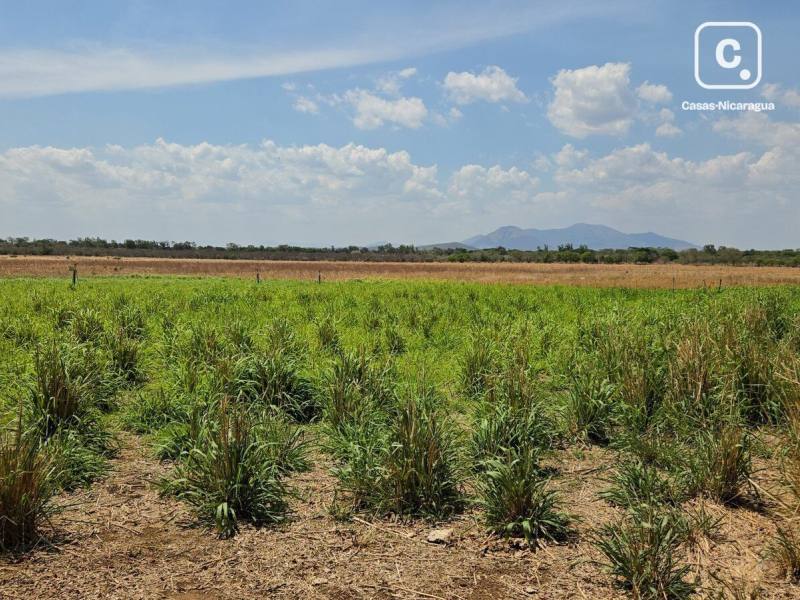 Finca en venta en León – 1,656,508 varas²