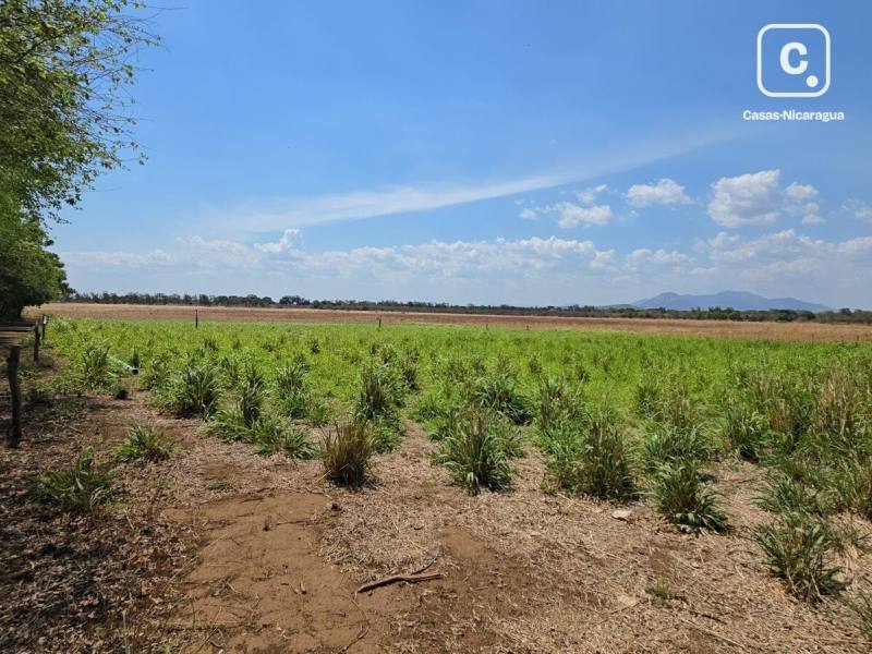 Finca en venta en León – 1,656,508 varas²