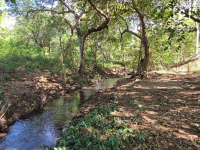Finca en venta en León – 821,303 varas²