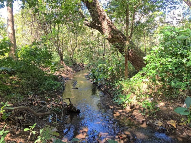 Finca en venta en León – 821,303 varas²
