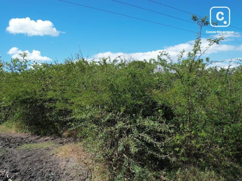 Terreno en venta en La Paz Centro, León – 1,395,868 varas²