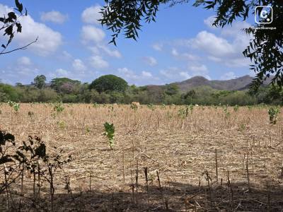 Farm for sale in Rivas – 7,041 m²