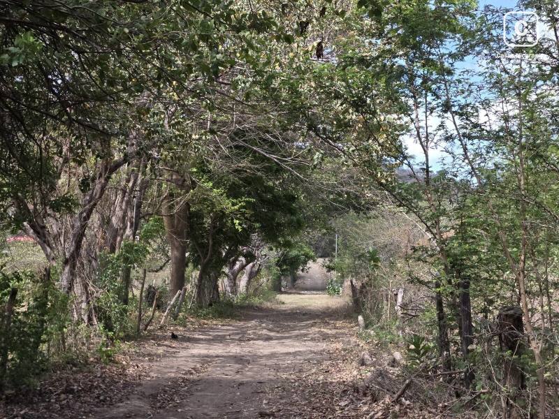 Finca en venta en Rivas – 10,136 varas²