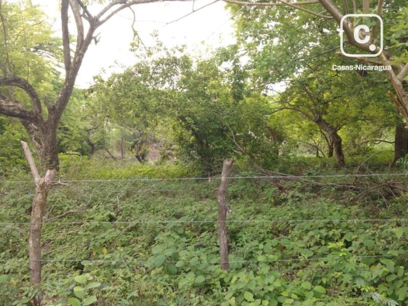 Terreno en venta en León – 1,478 varas²