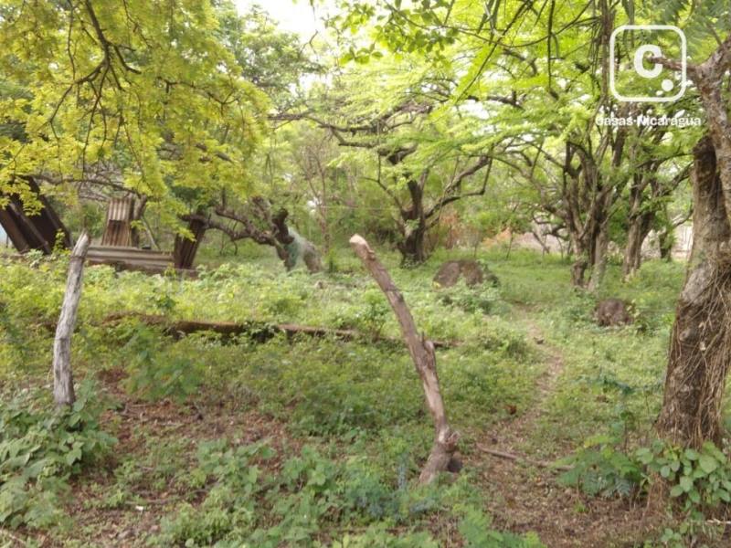 Terreno en venta en León – 1,478 varas²