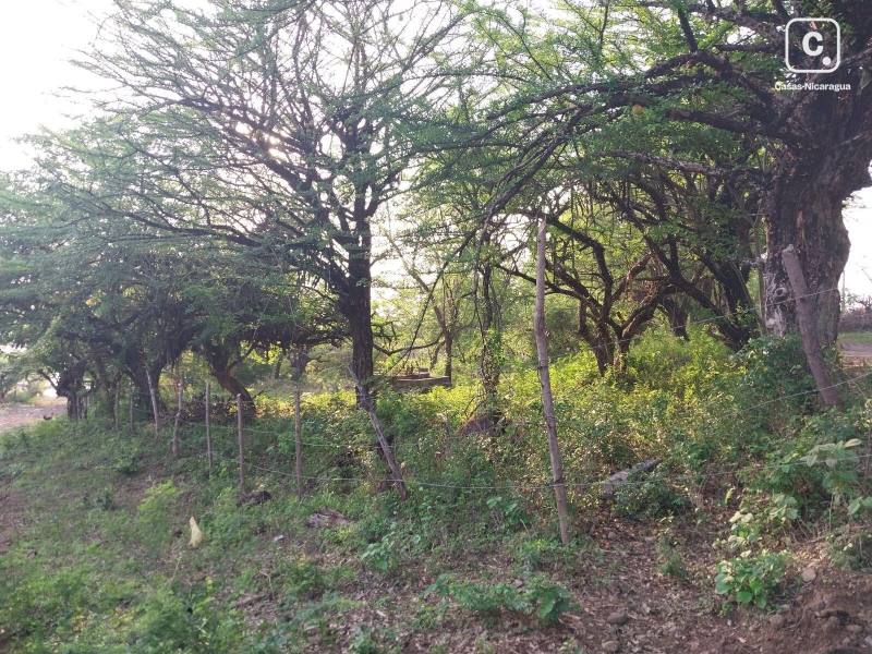 Terreno en venta en León – 2,356 varas²