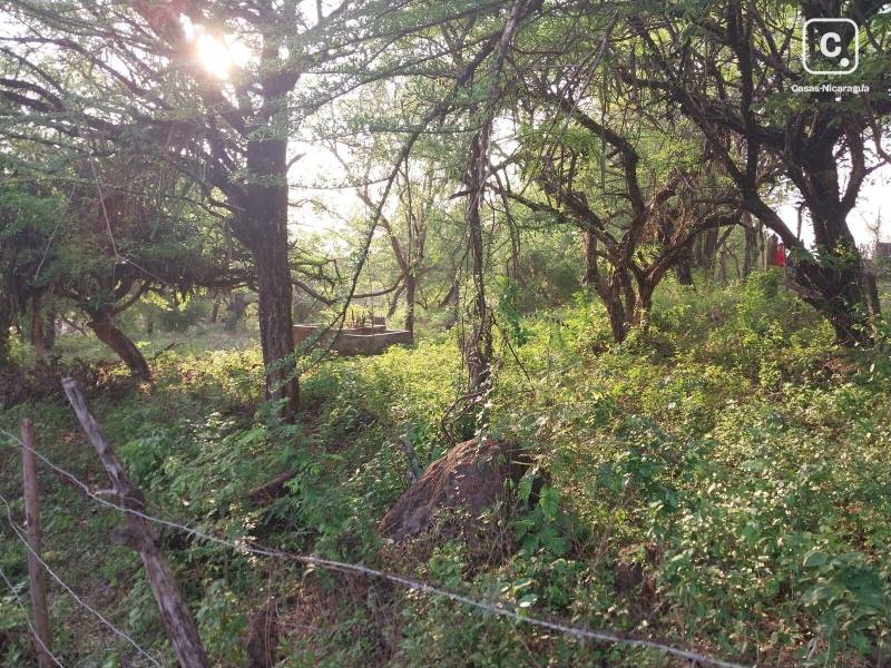 Terreno en venta en León – 2,356 varas²