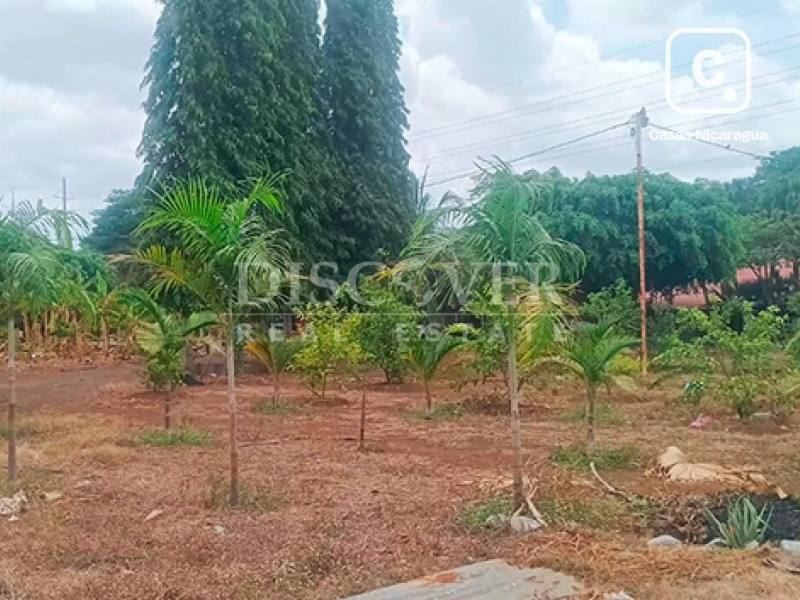 Terreno en alquiler en Carretera Masaya, Managua – 10,018 varas²