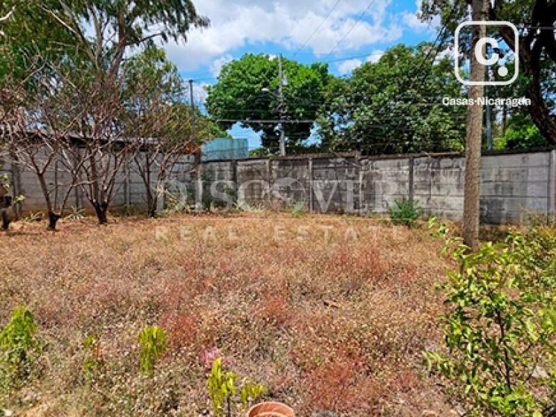 Terreno en alquiler en Planes de Altamira, Managua – 264 varas²
