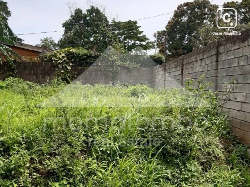 Lot for sale in Esquipulas, Managua – 3,264 sq varas