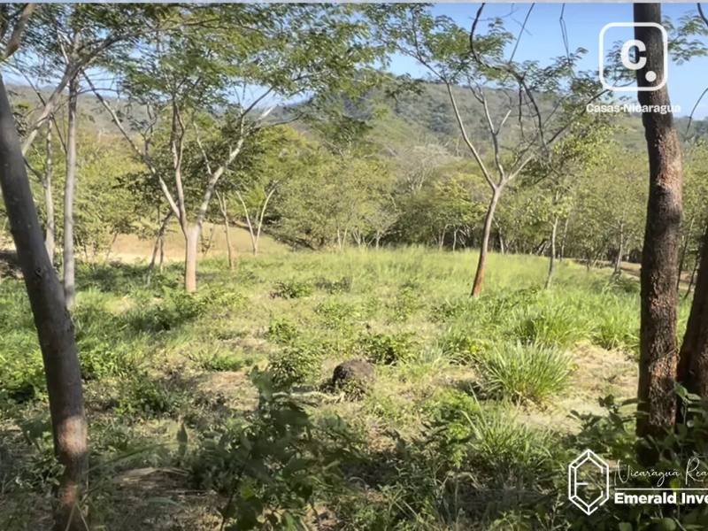Farm for sale in San Juan del Sur, Rivas – 13,190 sq varas