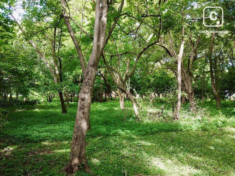 Lot for sale in Tola, Rivas – 2,104 m²