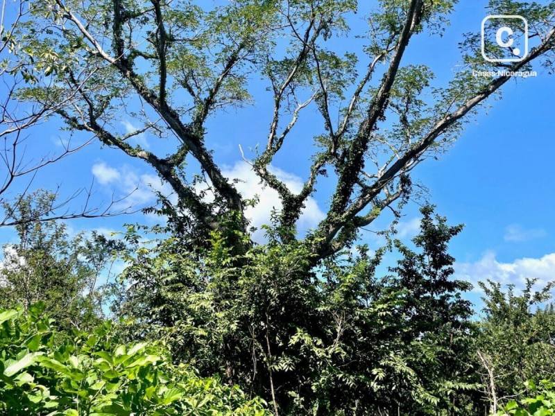 Lot for sale in San Juan del Sur, Rivas – 5,461 m²