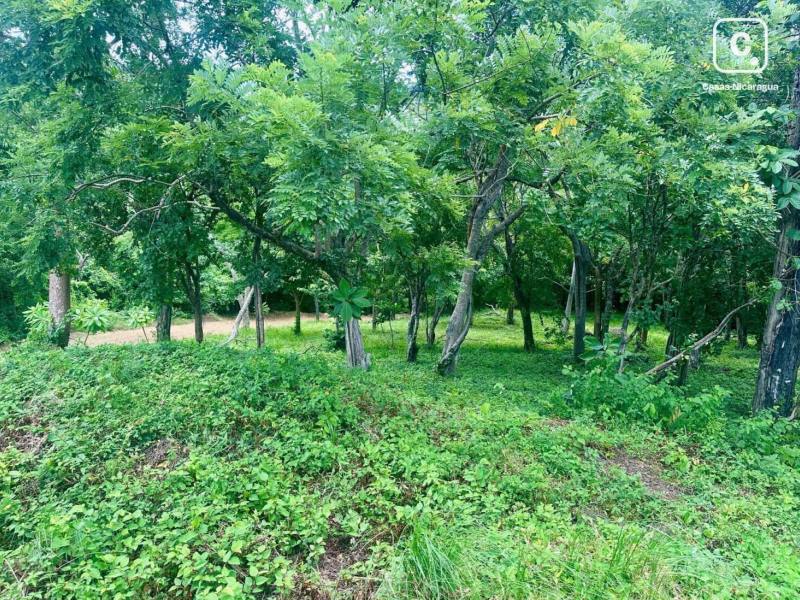 Lot for sale in San Juan del Sur, Rivas – 2,286 m²