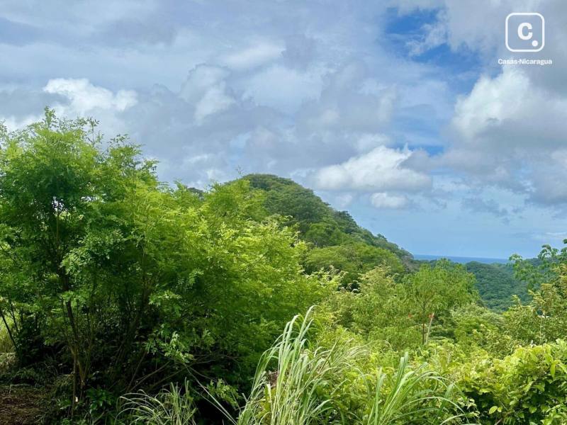 Terreno de 6,023 m² con vista al mar en El Silencio, San Juan del Sur