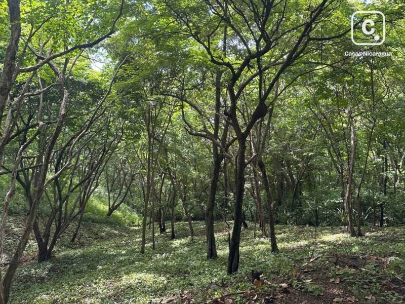 Terreno de 1,523 m² en Costa Dulce, a pasos de Playa Escameca, San Juan del Sur