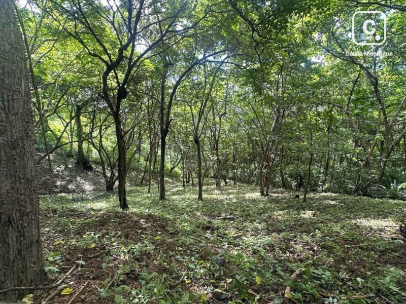 Terreno de 1,523 m² en Costa Dulce, a pasos de Playa Escameca, San Juan del Sur