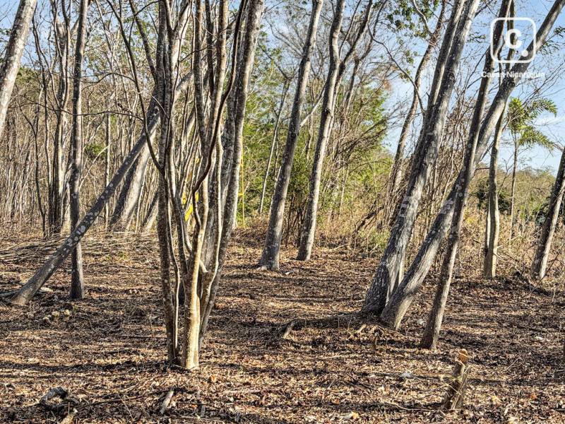 Lot for sale in San Juan del Sur, Rivas – 2,374 m²