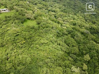 Lot for sale in San Juan del Sur, Rivas – 24,842 m²