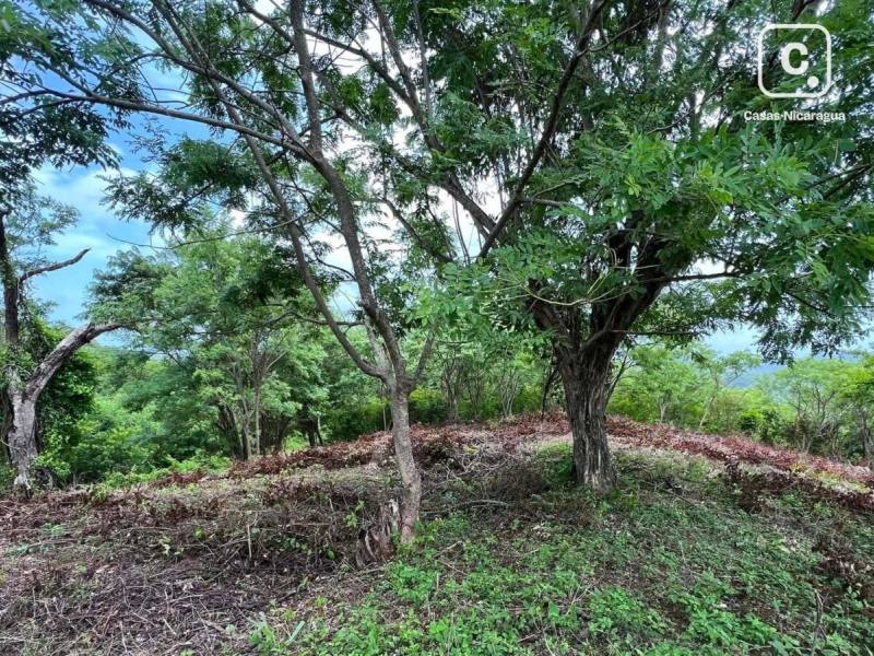 Lot for sale in San Juan del Sur, Rivas – 2,356 m²