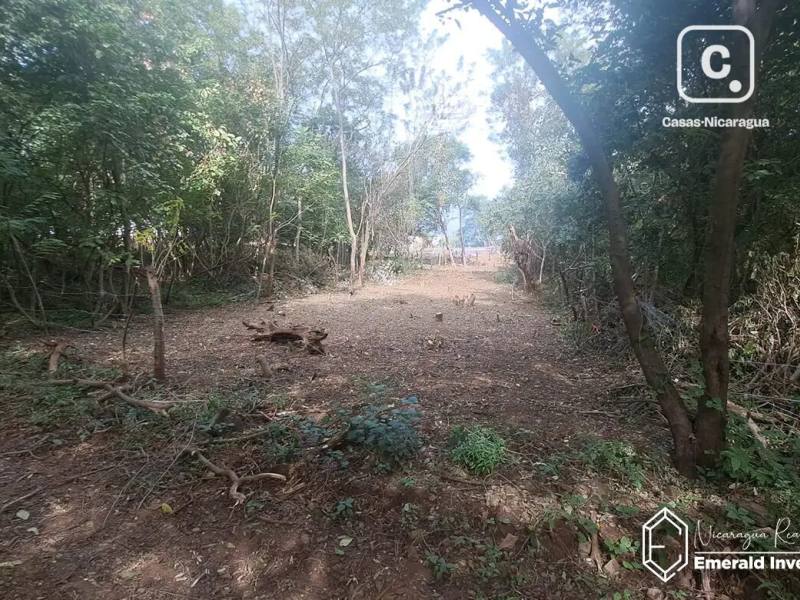 Lot for sale in Tola, Rivas – 2,003 m²