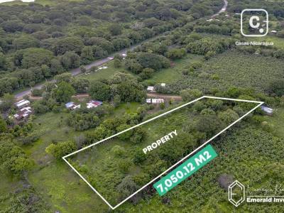 Finca de 7,050 m² con potencial de subdivisión cerca de Hacienda Iguana, Tola