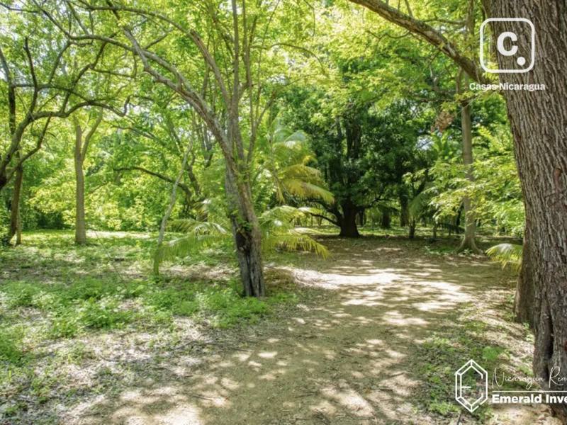 Lot for sale in Tola, Rivas – 1,191 m²