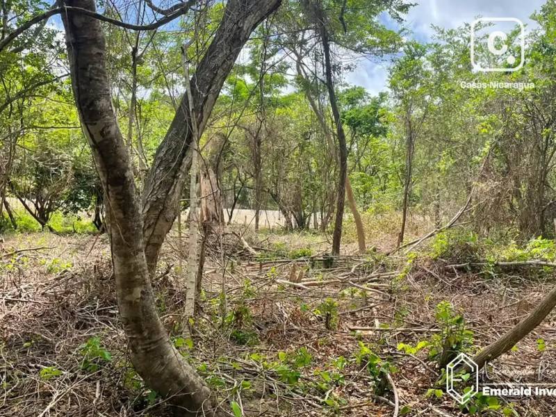 Lot for sale in Tola, Rivas – 2,115 m²